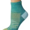 Darn Tough Vermont Run 1/4 Ultra-Lightweight | Socks -David Tate Sales 71g2yGwilNL. AC SR736920