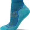 Darn Tough Vermont Light Hiker 1/4 Lightweight with Cushion | Socks