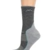 Darn Tough Vermont Light Hiker Micro Crew Light Cushion | Socks
